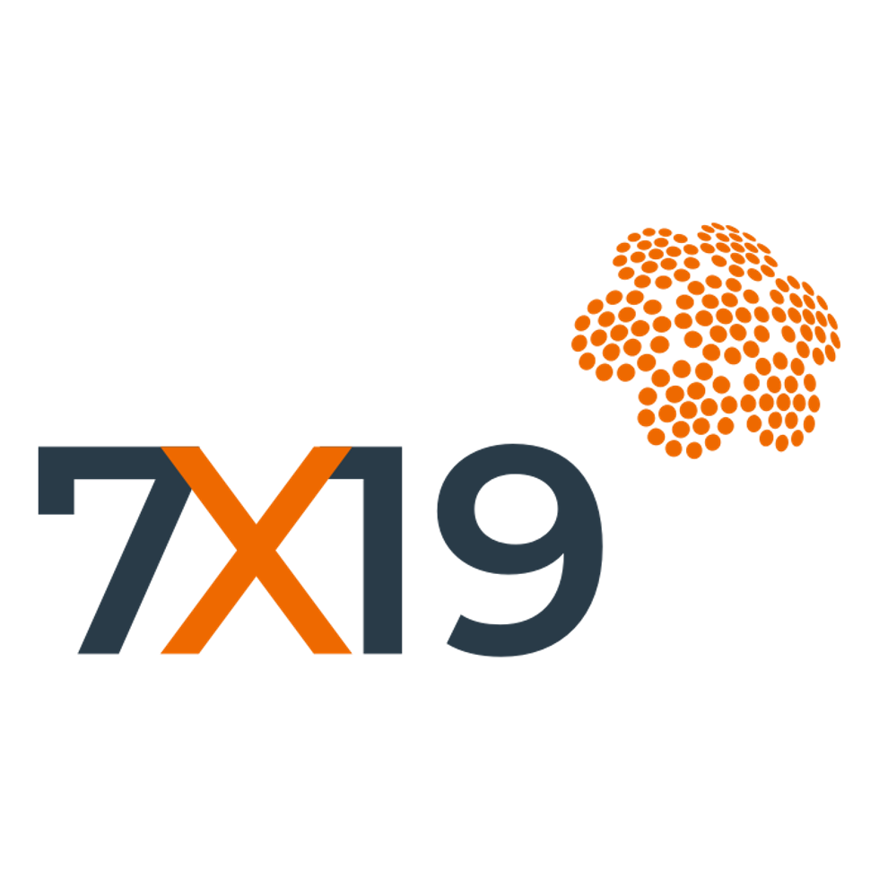 7x19
