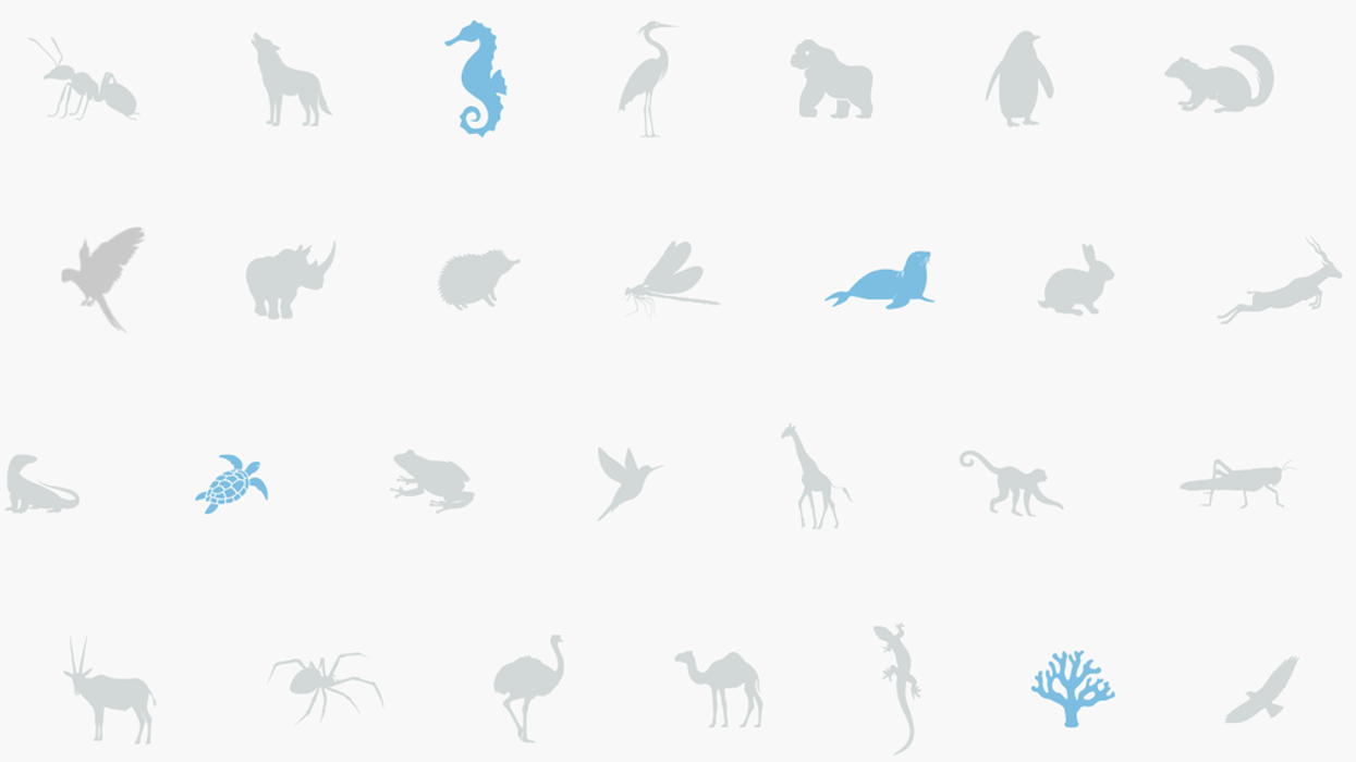 The blooloop 50 Zoo & Aquarium Influencer List 2026