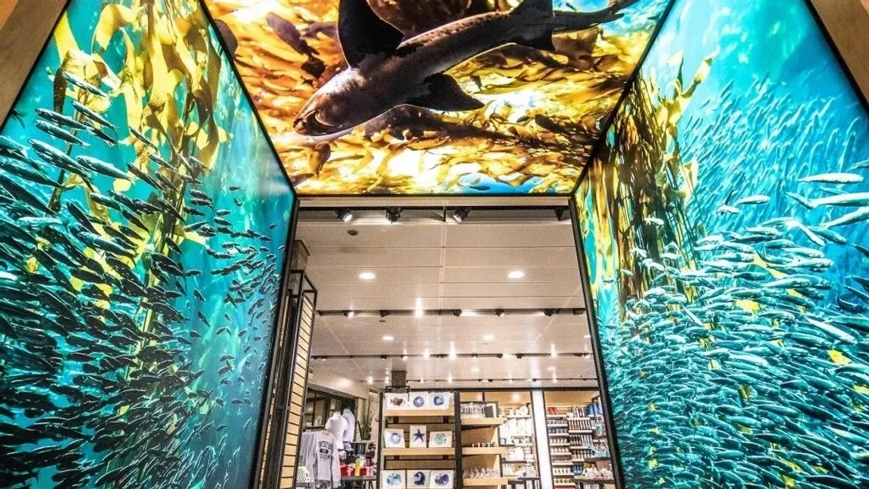 The blooloop 50 Zoo & Aquarium Influencer List 2025