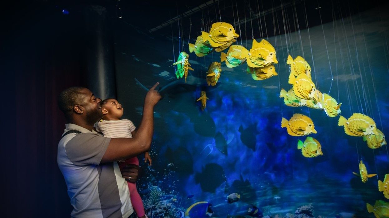 Imagine Brick Planet fish