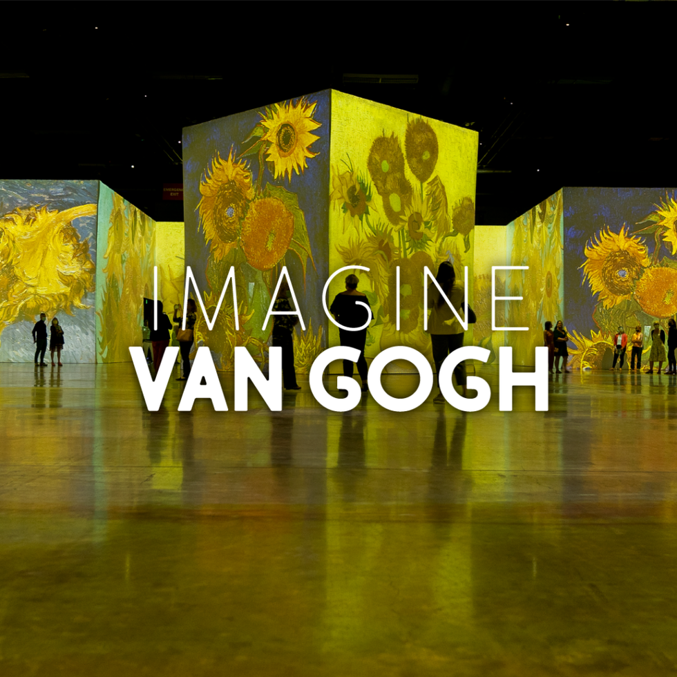 Imagine Da Vinci immersive exhibition