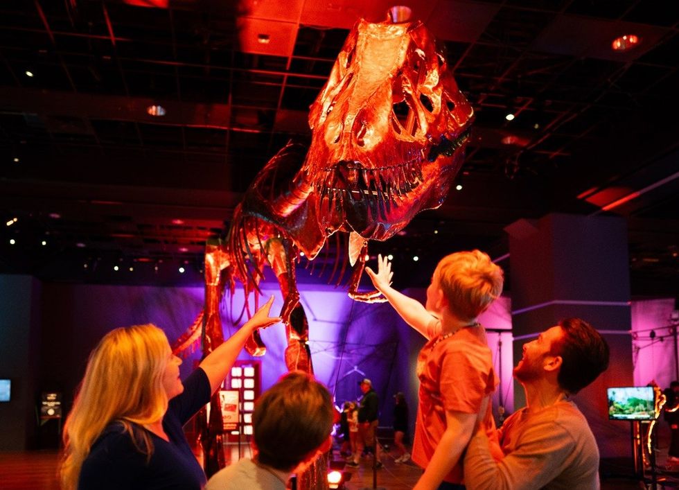 Imagine Dino In Motion