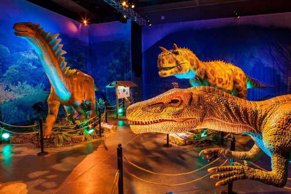 Imagine Exhibitions Dinosaurs Around the World