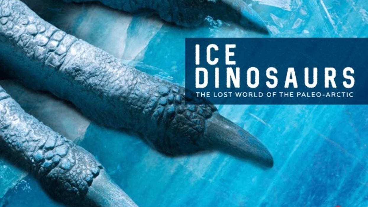 Imagine Exhibitions Ice Dinosaurs debuts at MOSH