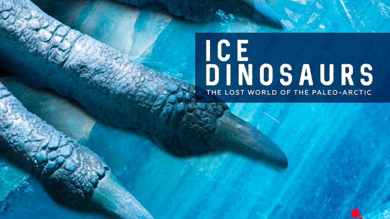 Imagine exhibitions ice dinosaurs