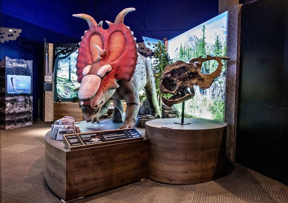 Imagine Ice Dinos exhibit