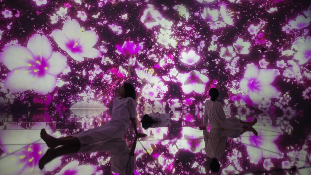 immersive art experiences