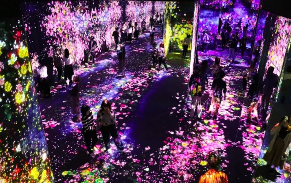 immersive art Louis Alfieri