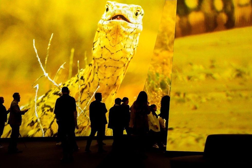 Immersive experience BBC Earth