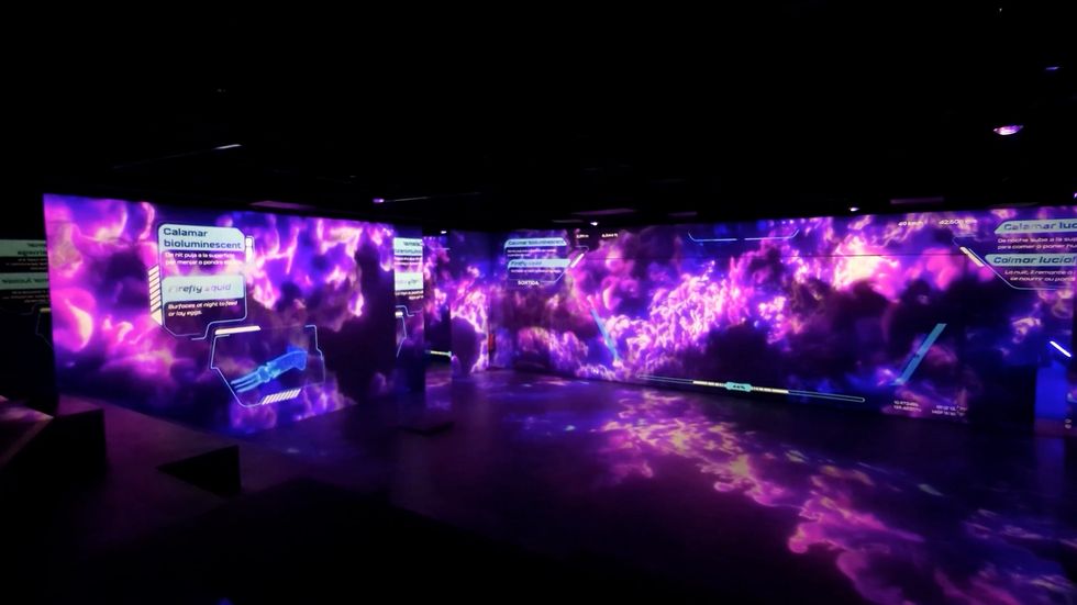 Immersive room with purple bioluminescent squid visuals and digital displays on walls.