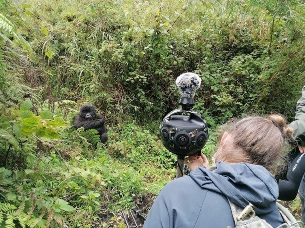 Immotion Gorilla Trek behind the scenes