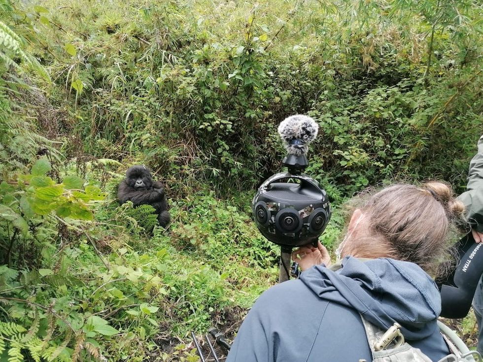 Immotion Gorilla Trek - BTS Shot