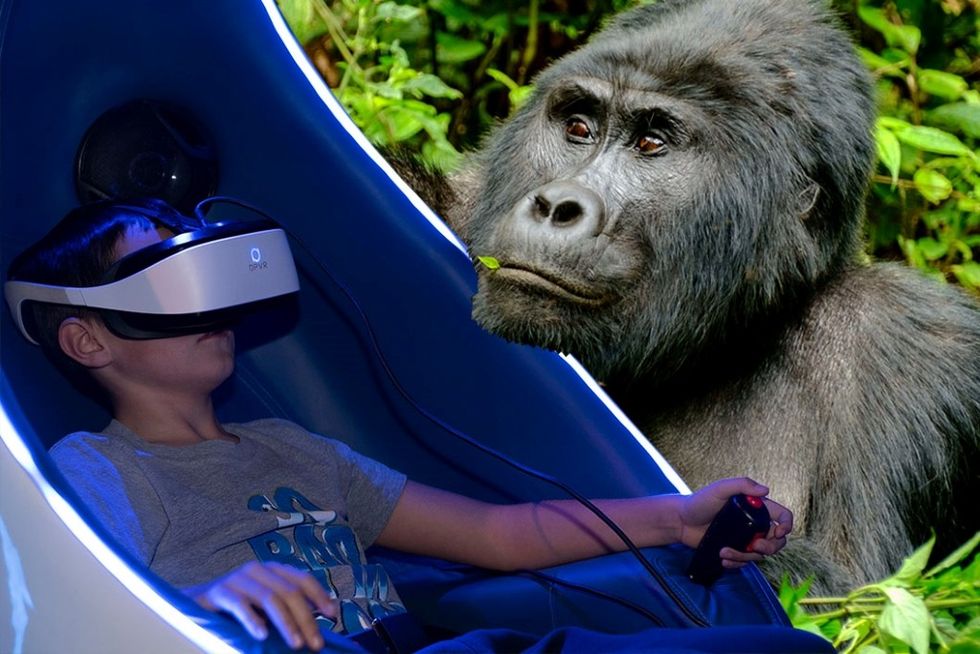 Immotion Gorilla Trek VR