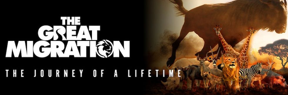 Immotion the Great Migration 2024 AZA Annual Conference