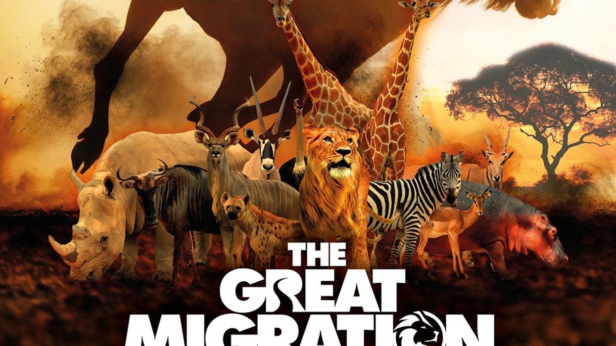 Immotion THE GREAT MIGRATION crop