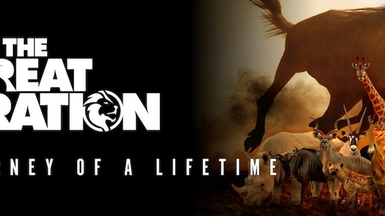 Immotion the Great Migration