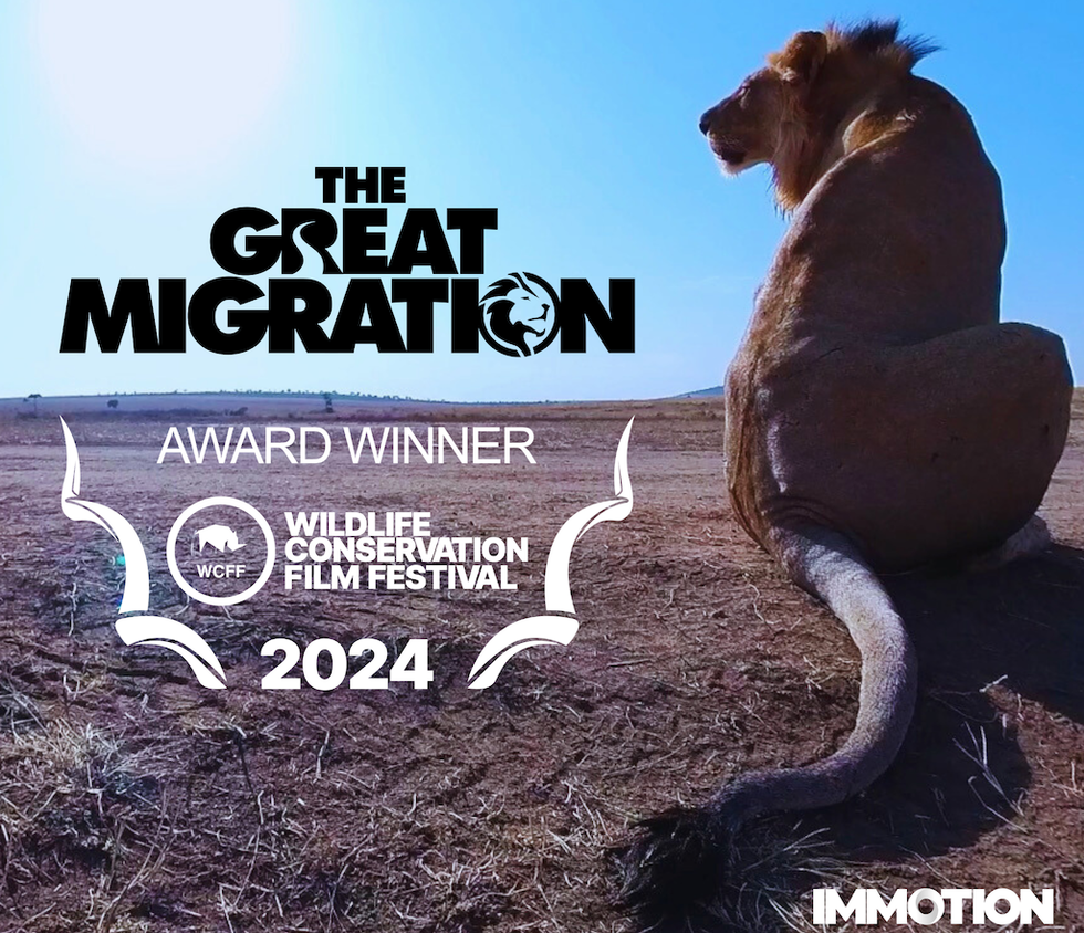 Immotion the Great Migration