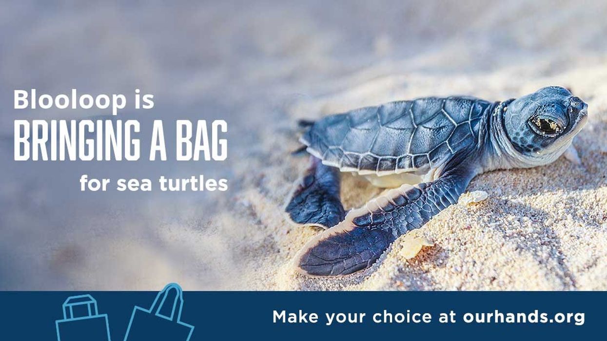 in our hands - 19 of America’s top aquariums to phase out plastic products