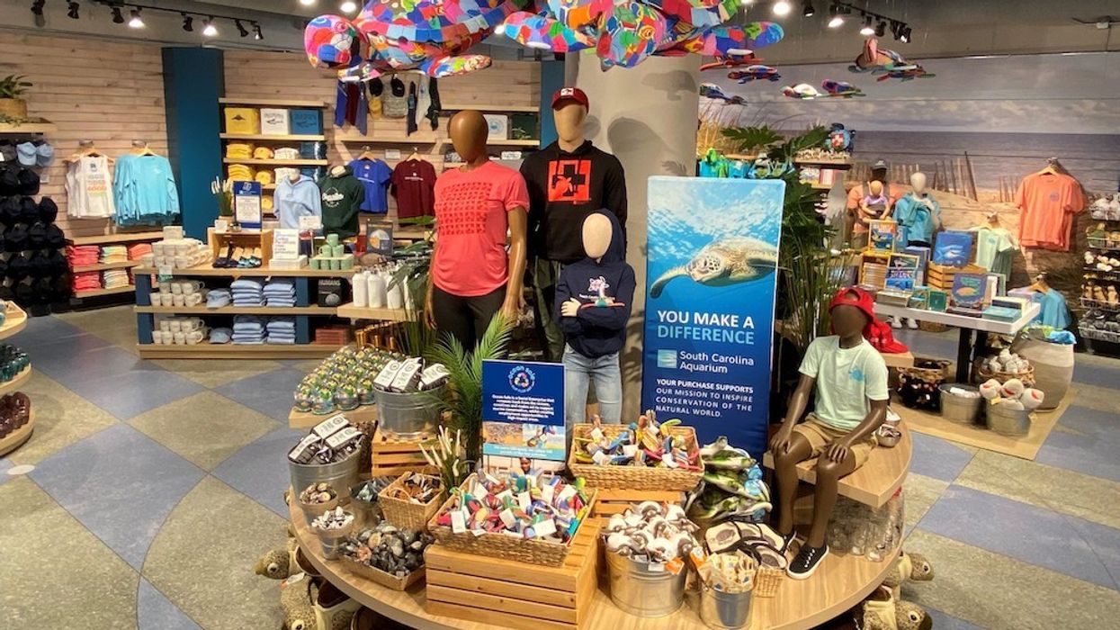 Inclusive mannequins at South Carolina Aquarium diversity in retail