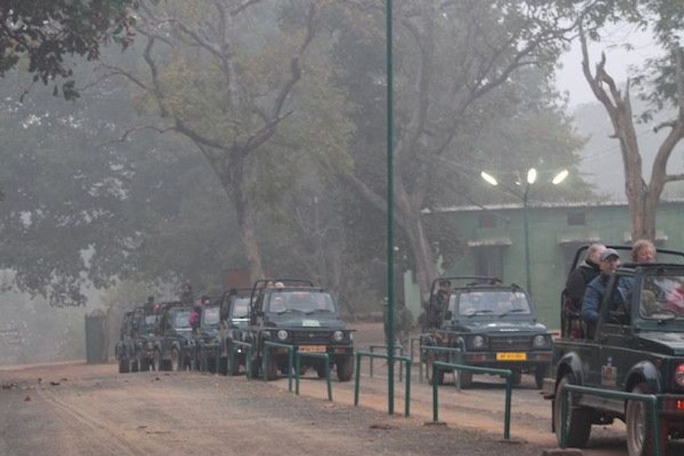 india ecotourism