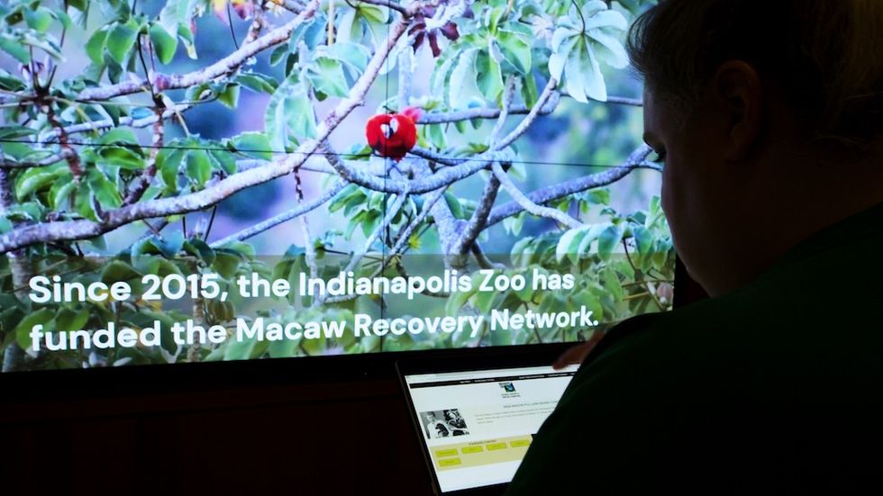 Indianapolis Zoo Elumenati_