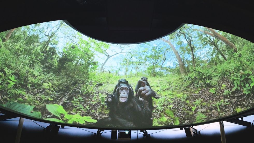 Indianapolis Zoo Our Living Planet Elumenati