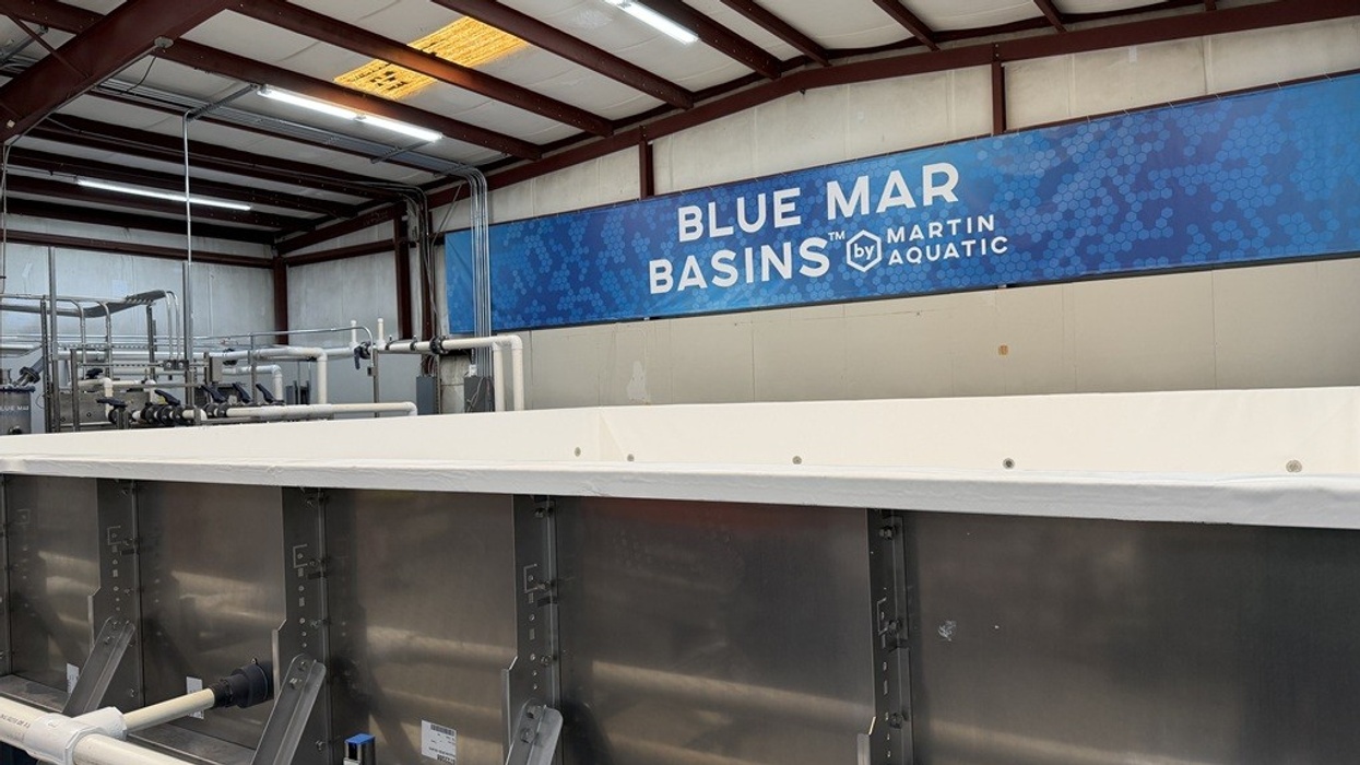 Indoor facility with stainless steel basins and a "Blue Mar Basins" sign above.