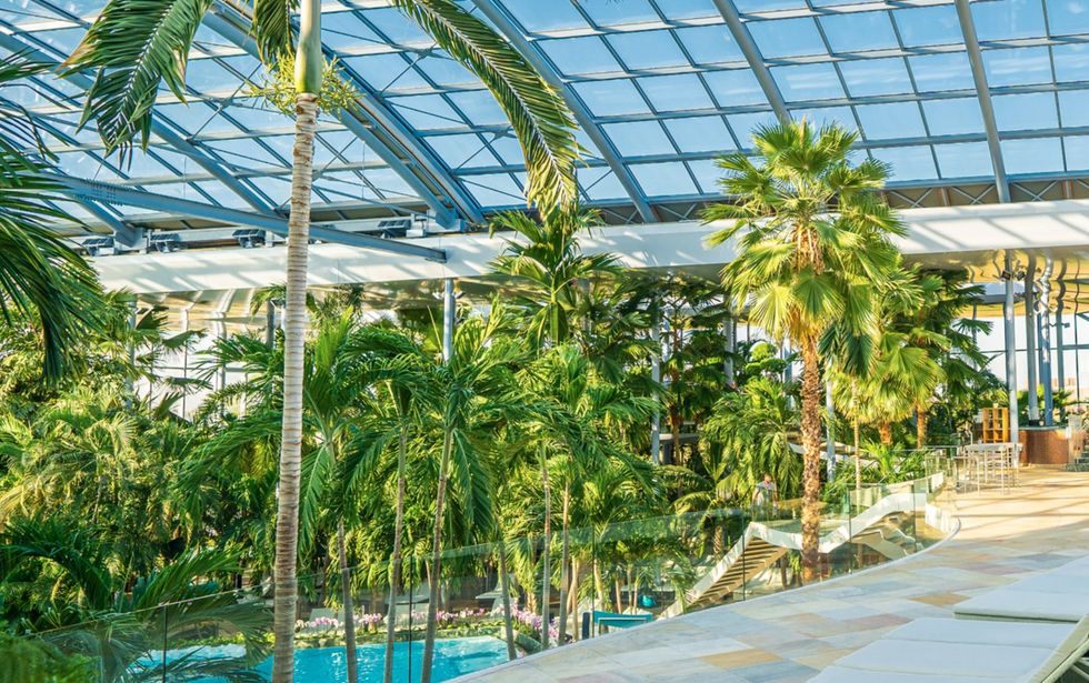 Indoor tropical garden at Therme Bucharest with tall palm trees and a glass ceiling.