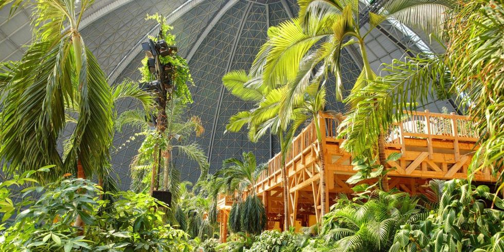 Indoor tropical garden with lush plants and a wooden walkway under a large dome ceiling.