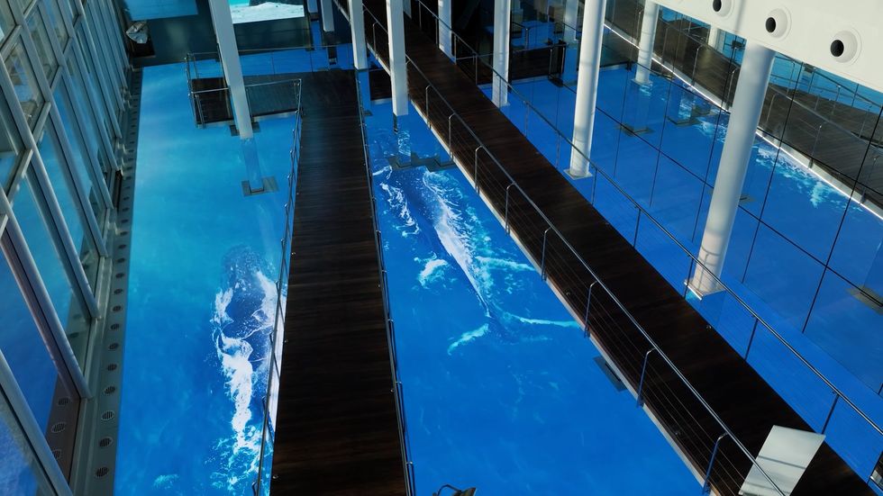 Indoor walkway over realistic whale floor art in a modern glass building.