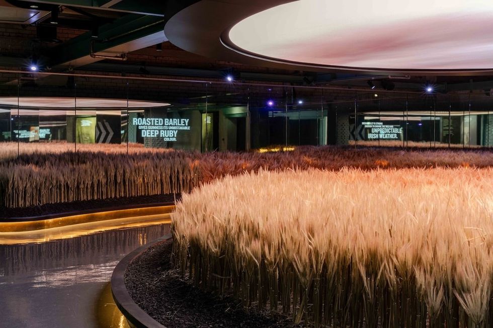 Ingredients Experience at the Guinness Storehouse Dublin 2