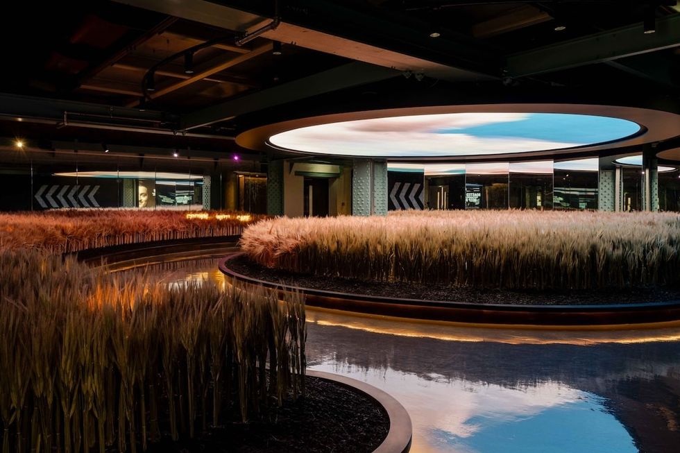 Ingredients Experience at the Guinness Storehouse Dublin 2