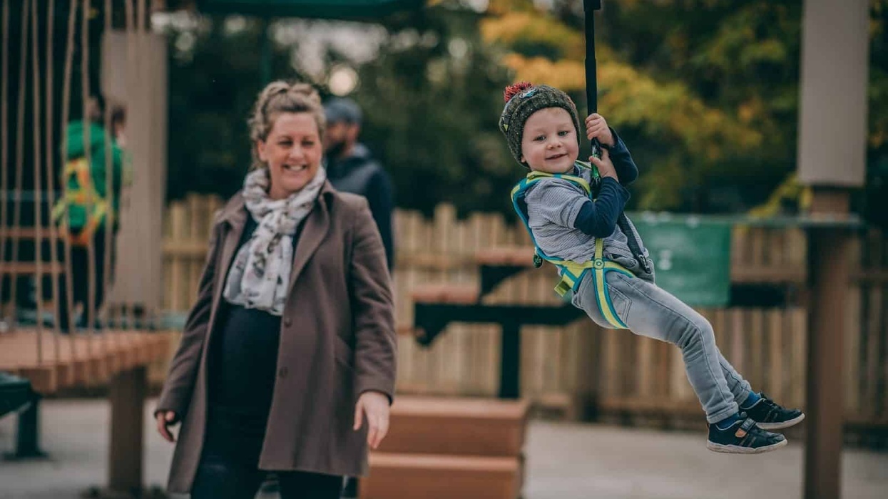 Innovative Leisure Chester Zoo