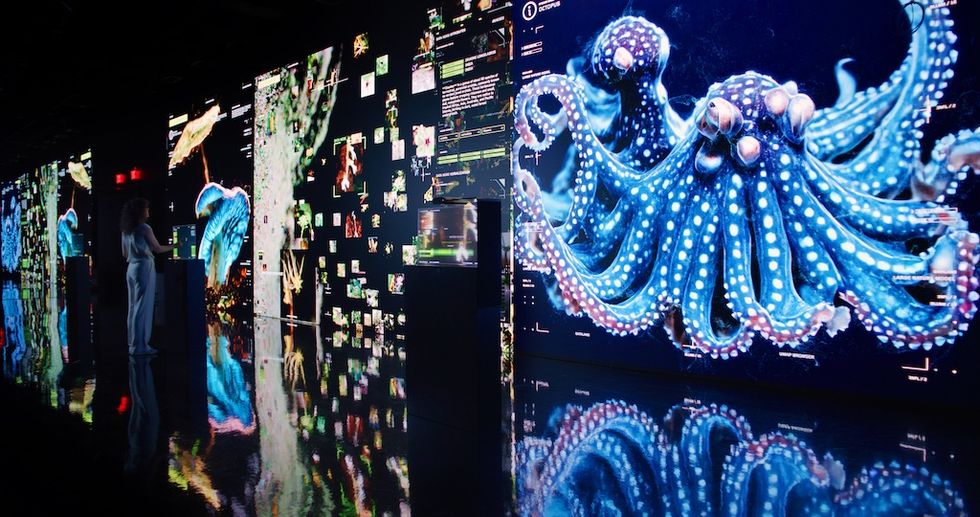 Interactive digital display at Dataland with colorful octopus and nature images.