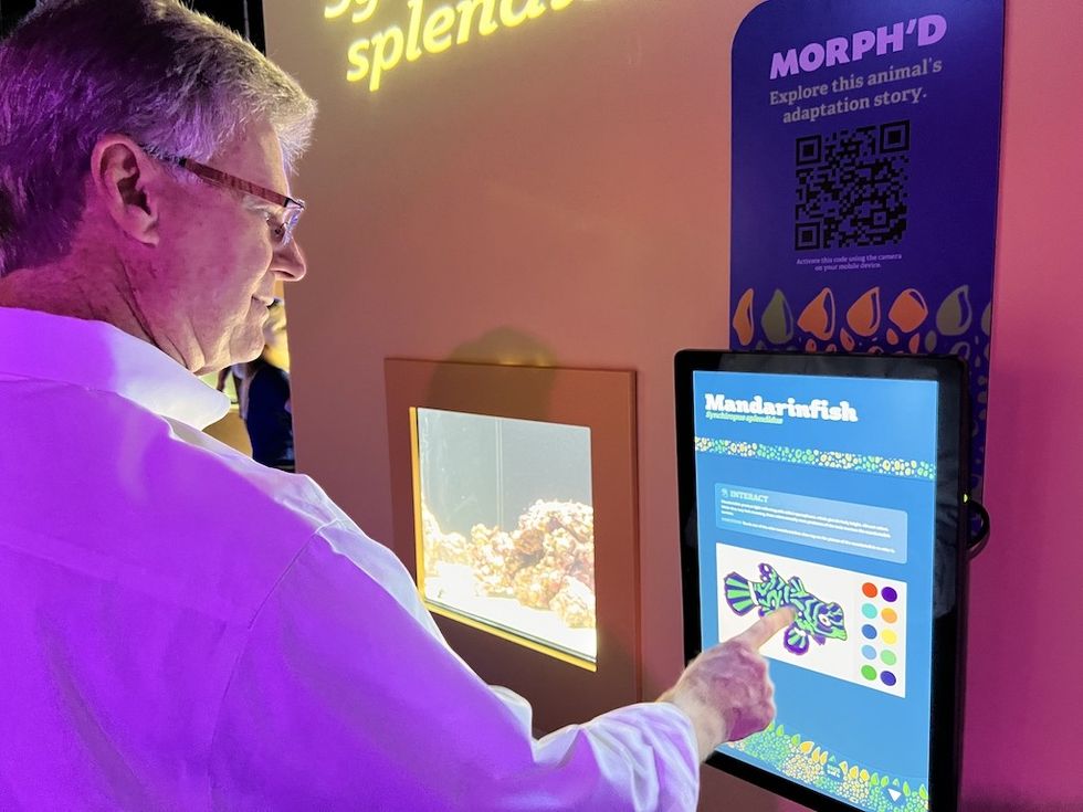 Interactive exhibit Morph'd Florida Aquarium IDEAS