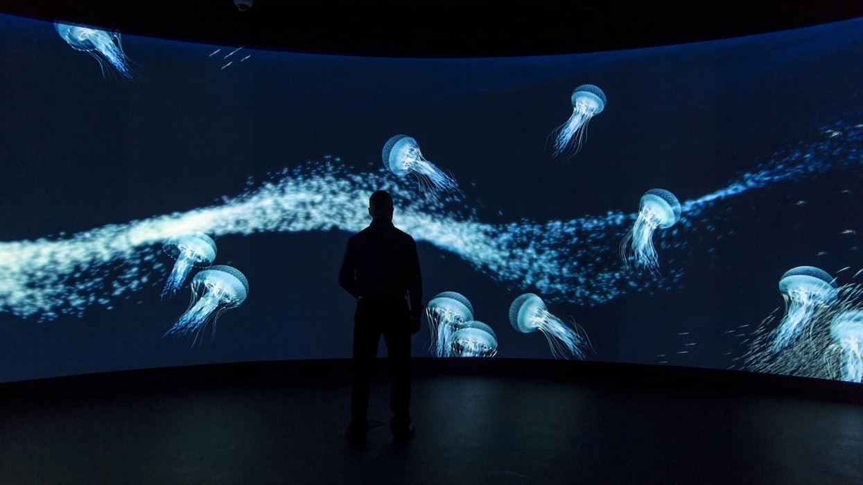 Interactive Media Wall Aquarium Deep Frost Science