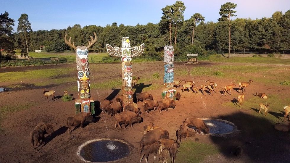 interactives at serengeti park disguised as totem poles