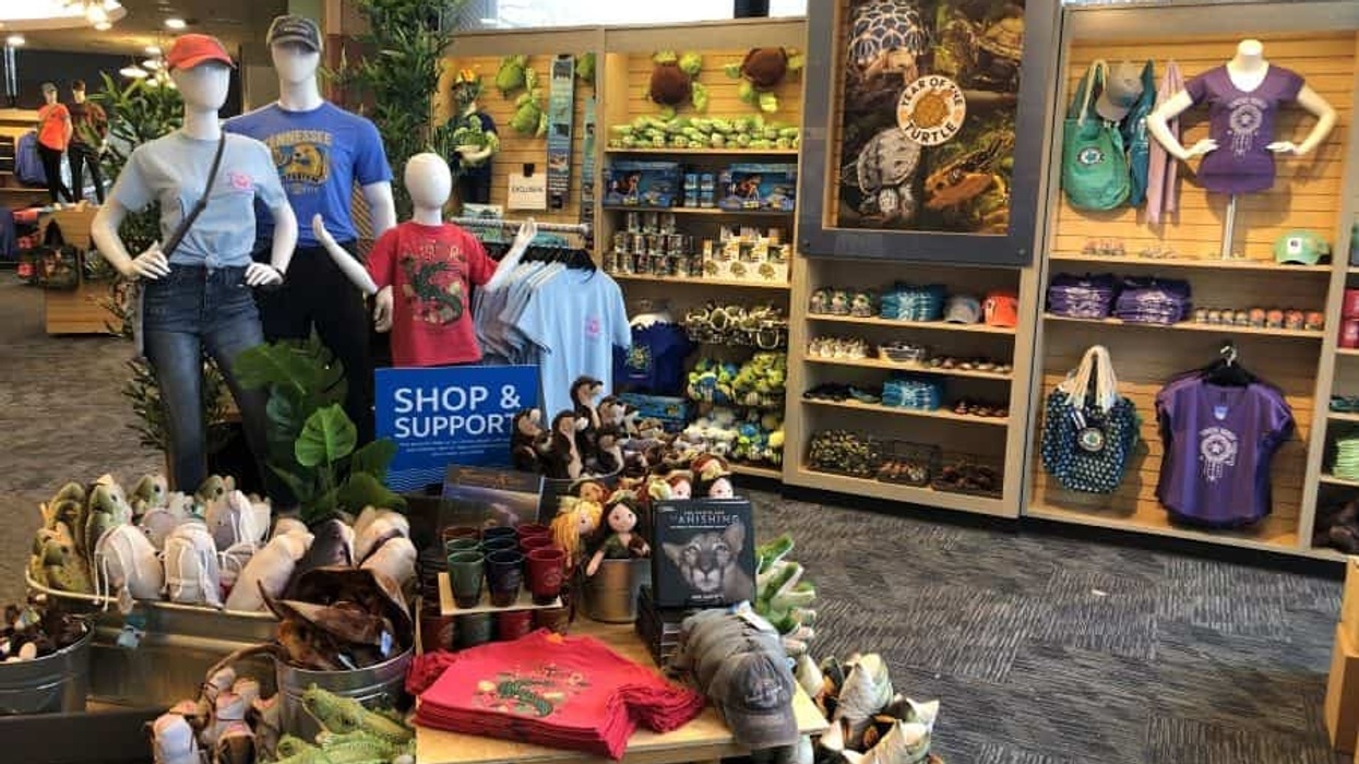 Interior of Tennessee Aquarium Store from Event Network