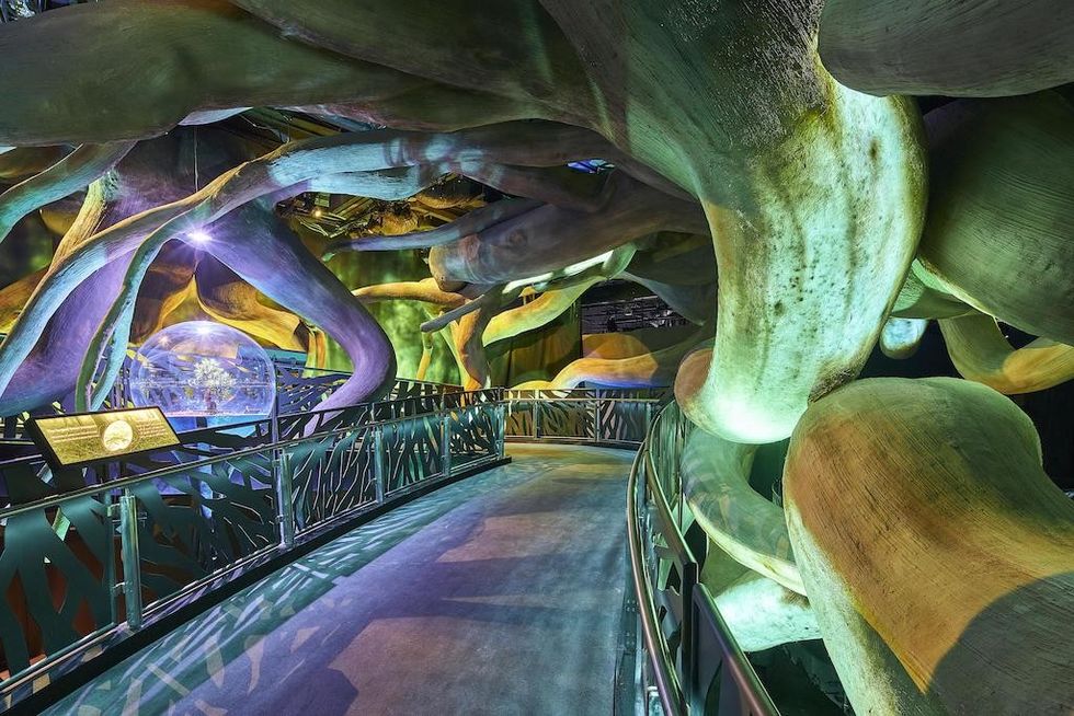 Interior view of Terra - The Sustainability Pavilion