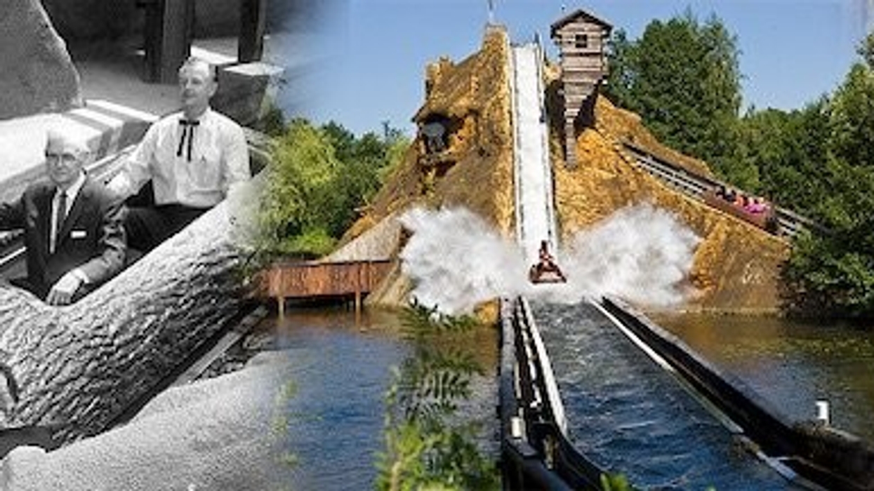 Interlink log flume evolution