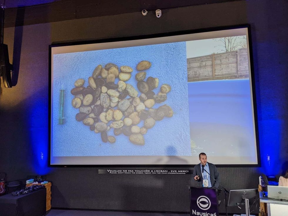 international aquarium congress 2022 stones inside koi fish