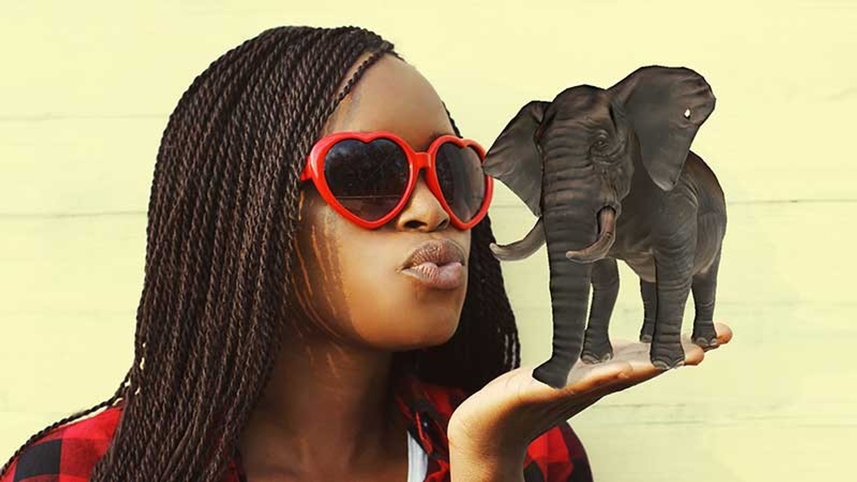 Internet of Elephants AR mobile app