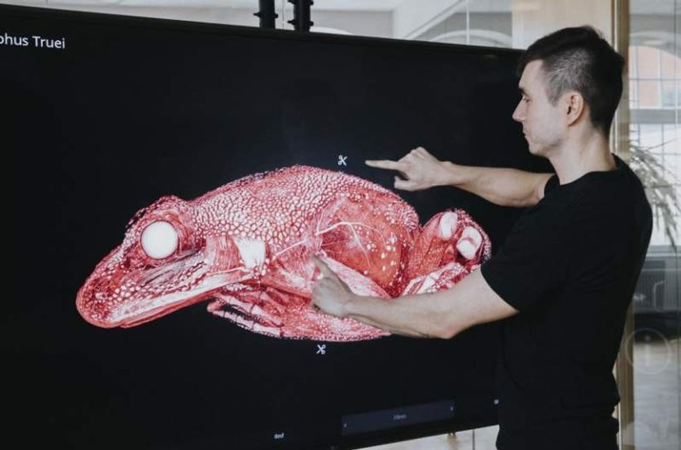 interspectral inside explorer frog