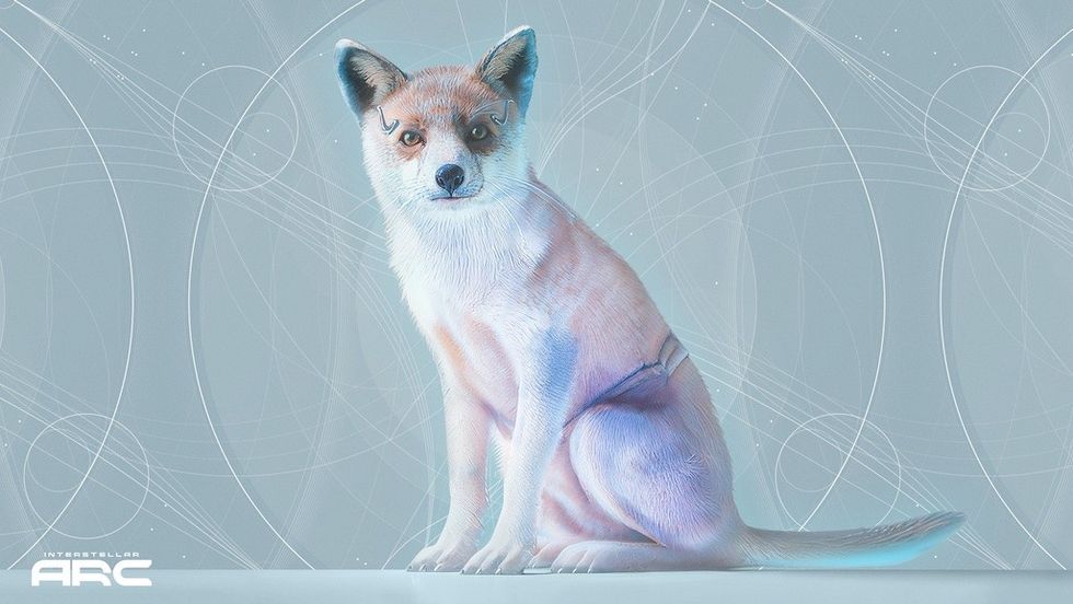 Interstellar Arc Blue Fox
