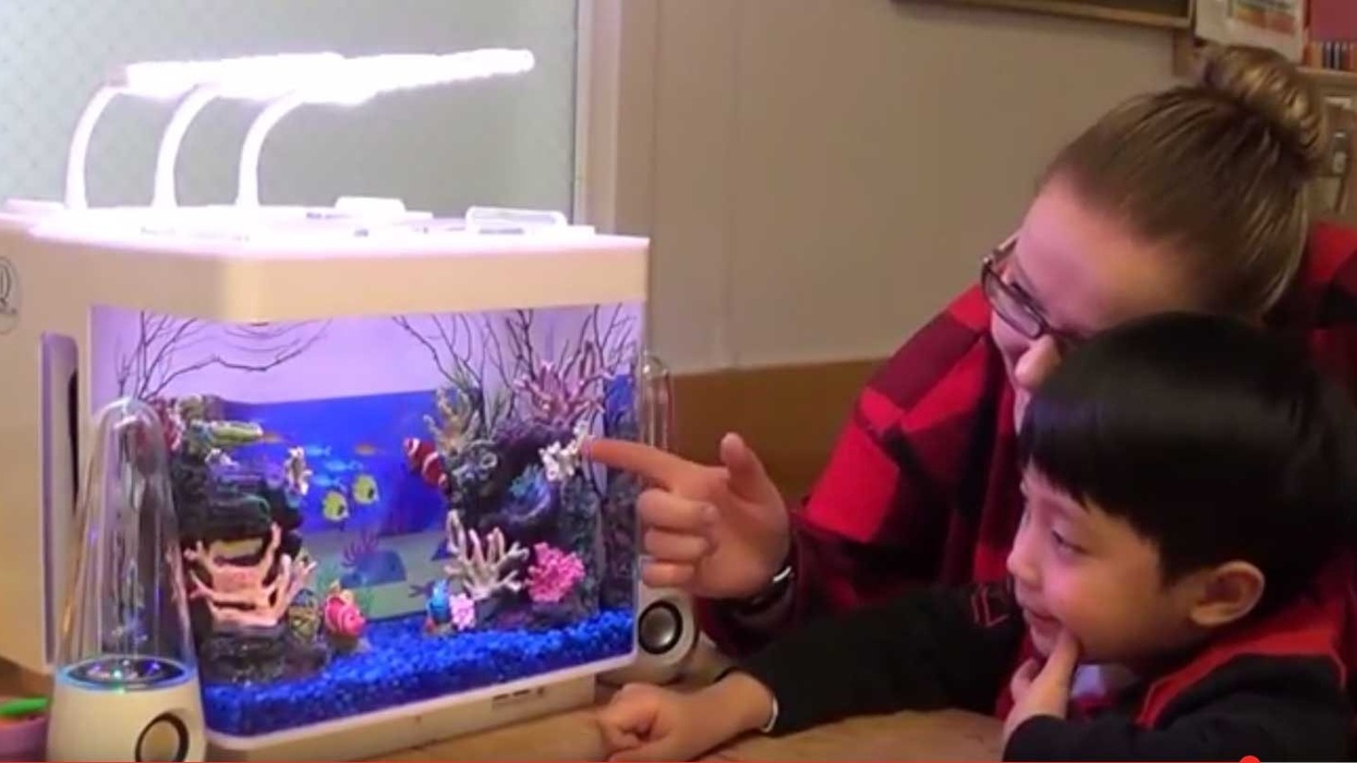 iquarium i3g eddie hanson special needs learning ipad