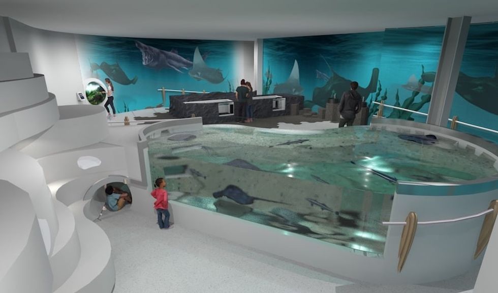 Ireland display reefLIVE belfast