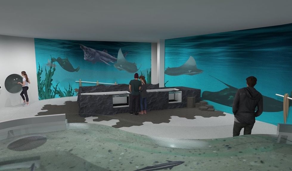 Ireland exhibit reefLIVE