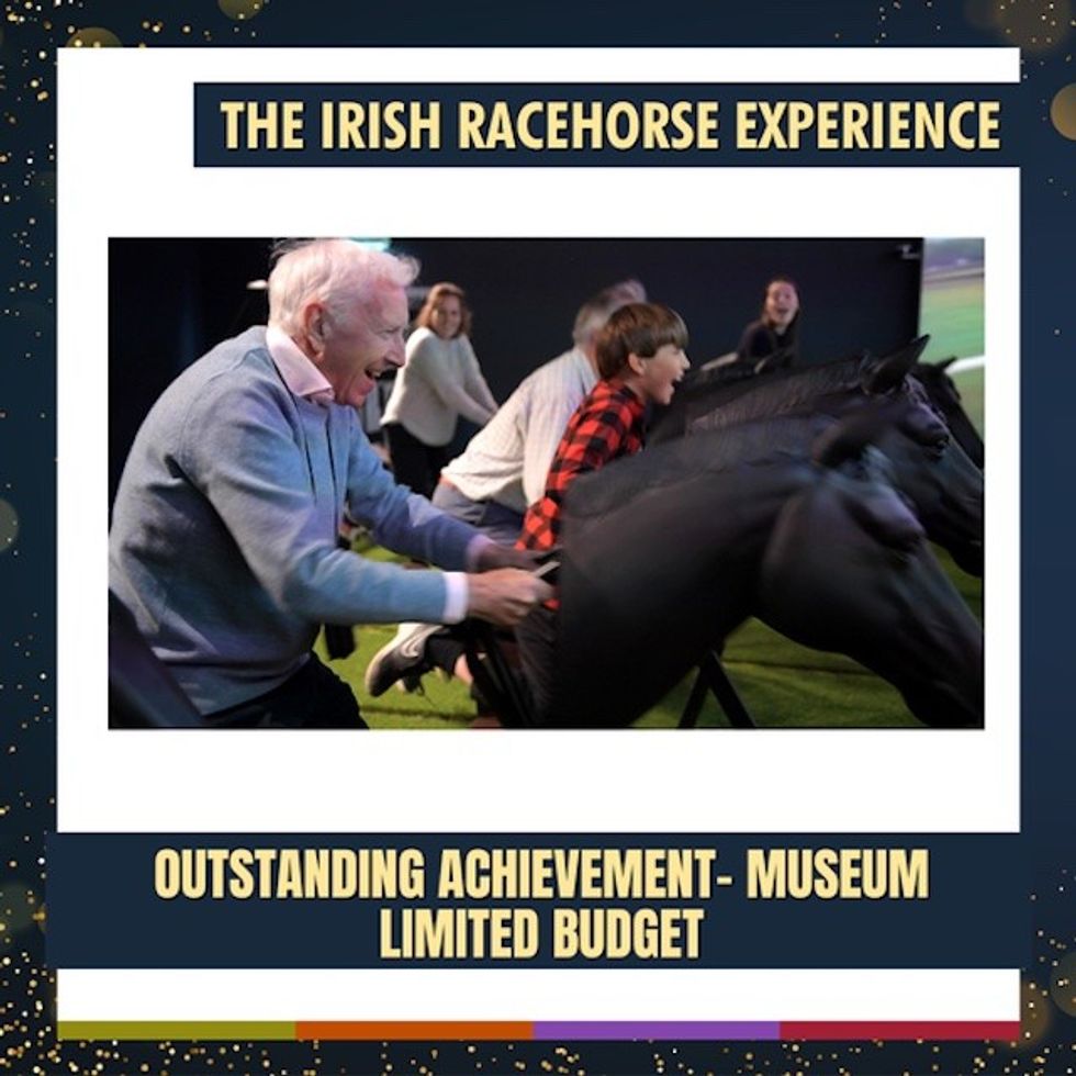 Irish Racehorse Experience Thea Award