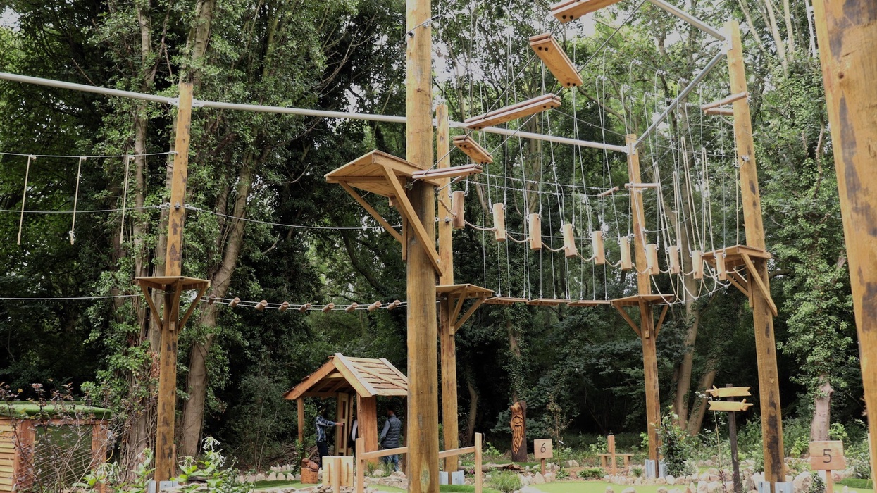 Iron Pitt Woods Greenspan