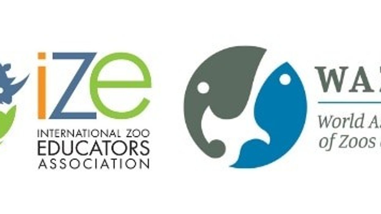 IZE & WAZA logos